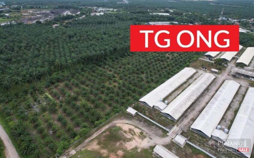 LAND SALE AT JALAN LADANG CHANGKAT 13.475 ACRE EASY ACCESS TO MAIN ROAD