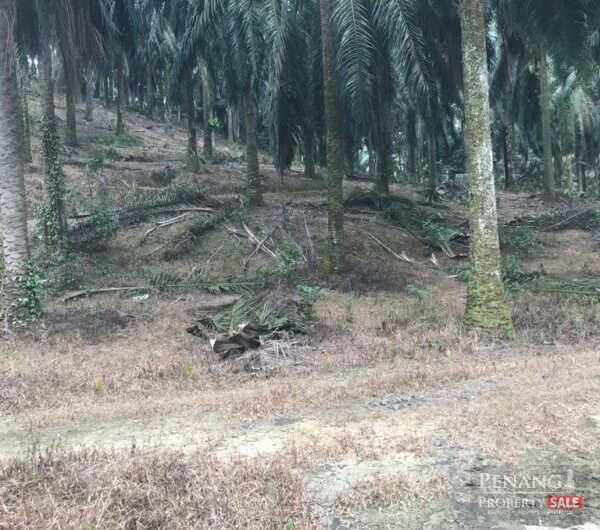 Machang Bubok Agriculture Land For Sale